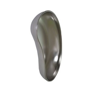 Kideny Dish