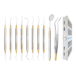 Set of 10 Dental Hygienist Instruments Tool Kit w/ Cassette | Prophylaxis & Professional Cleaning Set